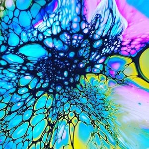 Meet your Posher, Alli